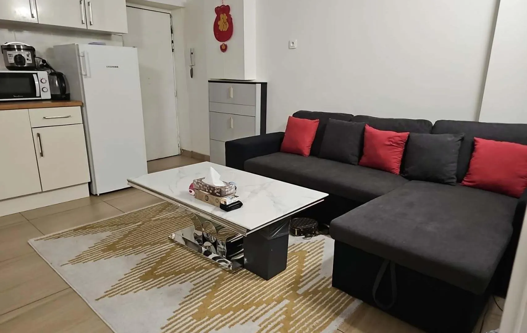 Apartment 休闲民宿 Paris